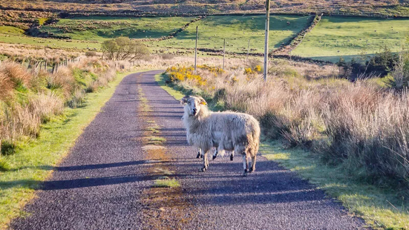 researchED Cork (Ireland)